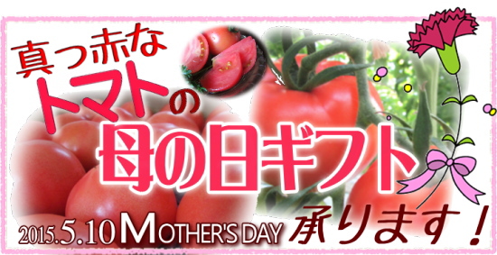 母の日トマト
