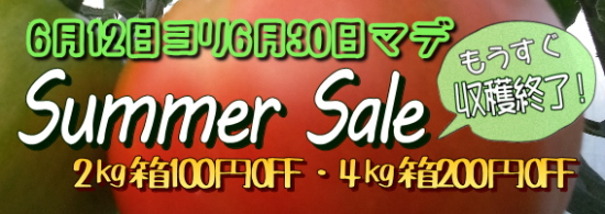summer-sale2015