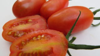 ミニトマト新品種紹介 “フラガール”