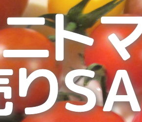 ミニトマト初売りセール2018