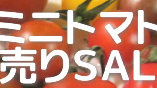 ミニトマト初売りセール2018