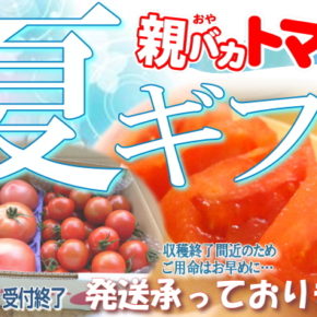 トマトの夏ギフト