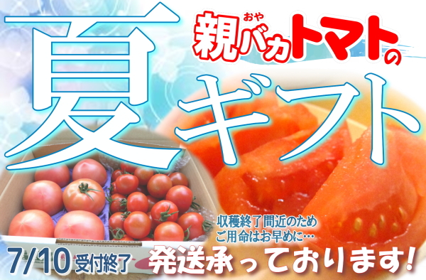 トマトの夏ギフト