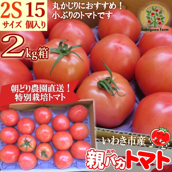 親バカトマト2kg箱 2Sサイズ（15個入り）税込1100円