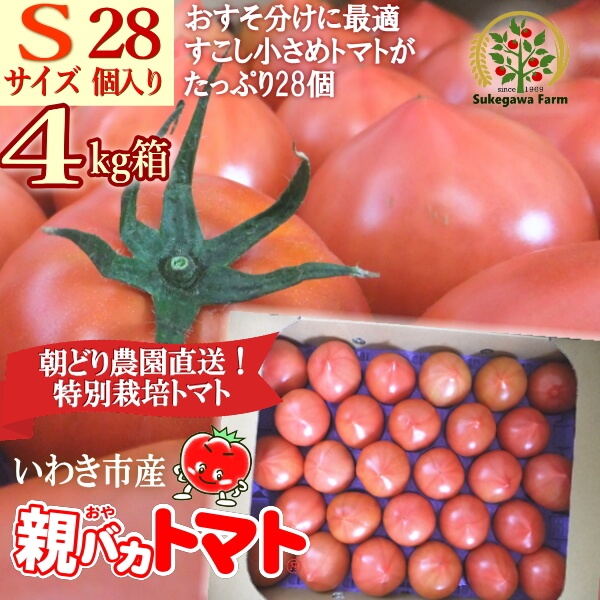 トマト│親バカトマト 助川農園 いわき市産トマト、ミニトマト通販・直売