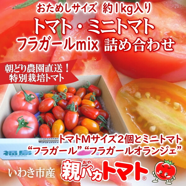 トマト・ミニトマト詰め合わせ | 親バカトマト 助川農園 いわき市産トマト、ミニトマト通販・直売