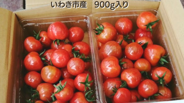 【新食感!とってもやわらかミニトマト】プチぷよ 900g　税込1400円