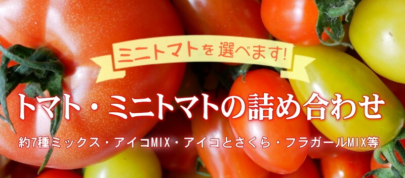 ８㎏ わんさま専用です☺️ ミニトマト - 野菜