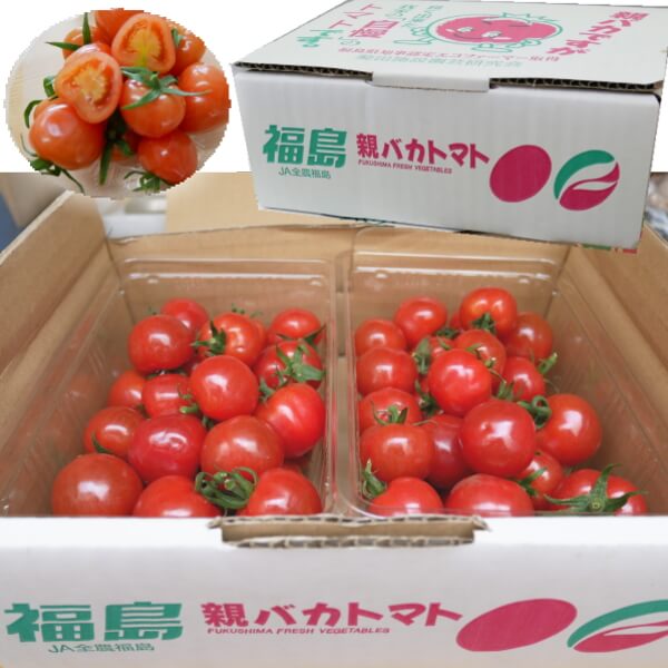 トマト プチ ぷよ 皮が薄くて美味しい！つやぷるん（プチぷよ）トマトの味の特徴は？