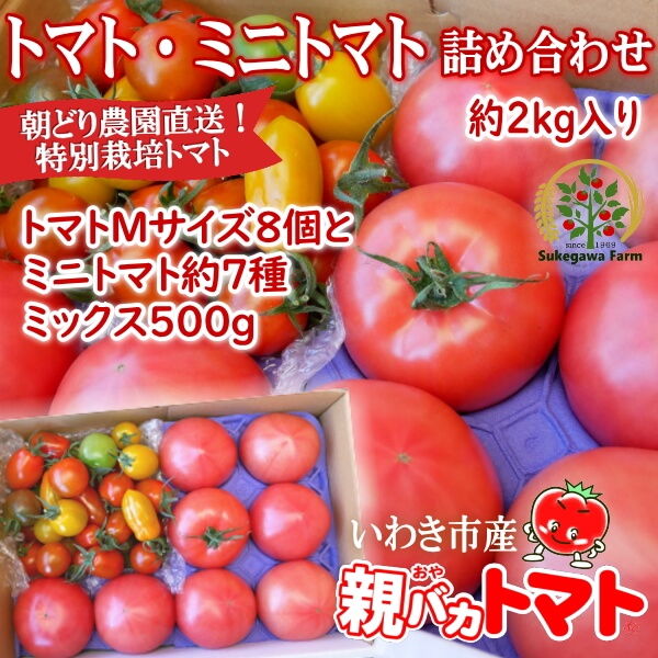 ミニトマト約７種ミックス500gとＭサイズトマト8個の詰め合わせ1.8kg　税込1400円