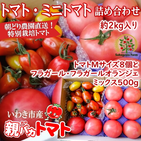 トマト8個とフラガールミックスの2kg箱