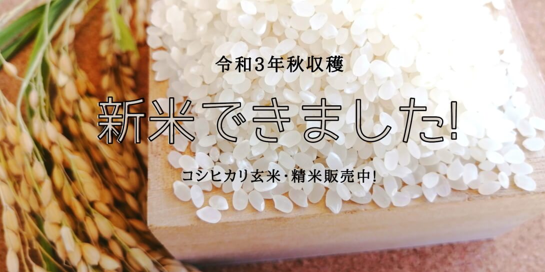 今年のお米販売開始〜新米できました!〜