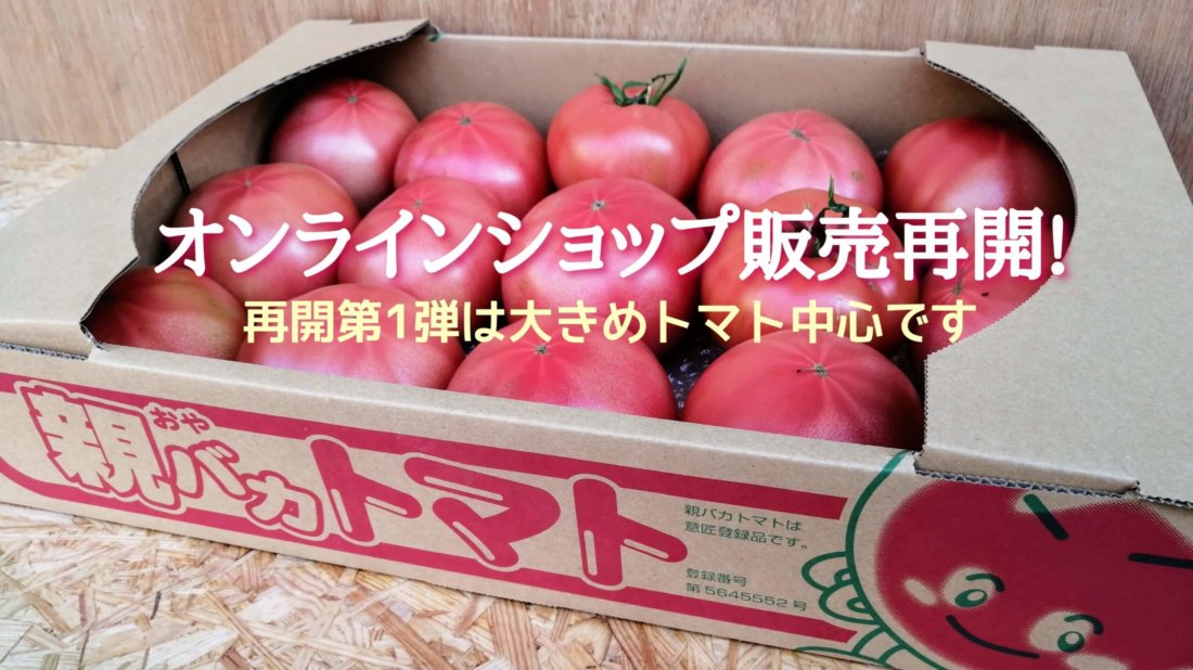 オンラインショップのトマト販売を再開しました!