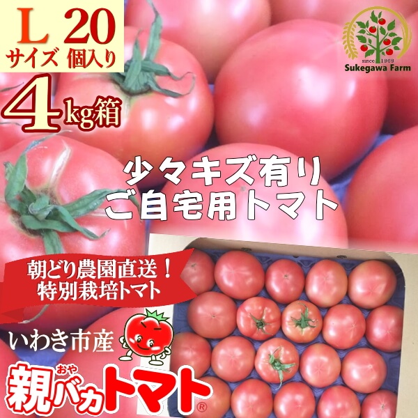 トマト│親バカトマト 助川農園 いわき市産トマト、ミニトマト通販・直売