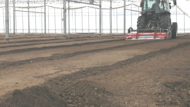 助川農園2022年夏の1ヶ月〜収穫終了から植え付け準備まで
