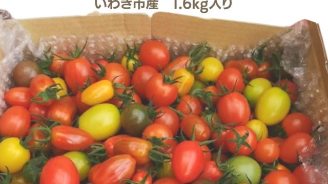 ミニトマト約７種ミックス1.6kg　税込1700円