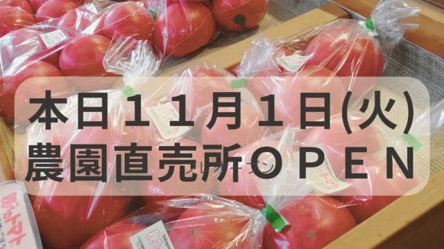 直売所再開のお知らせ（11月1日より再オープン!）