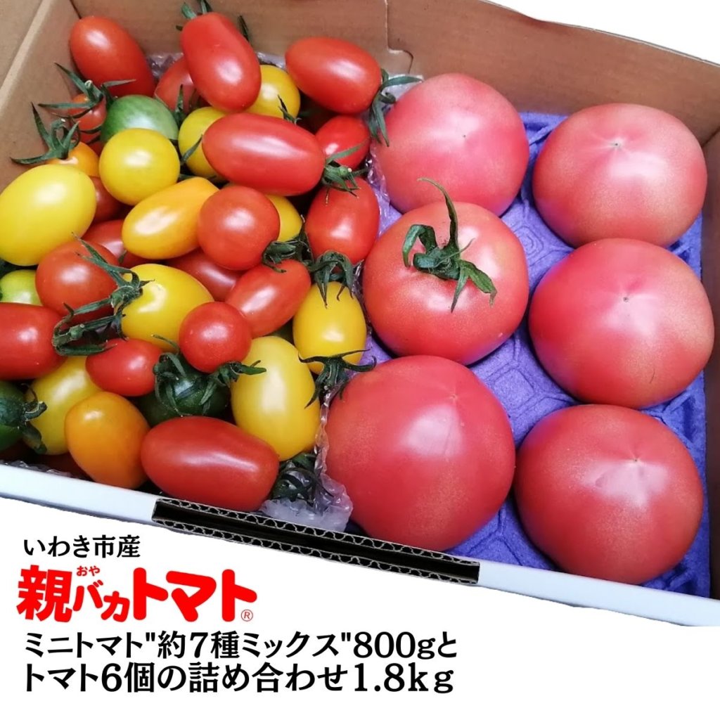 ミニトマト約７種ミックス800gとトマト6個の詰め合わせ1.8kg 税込1500
