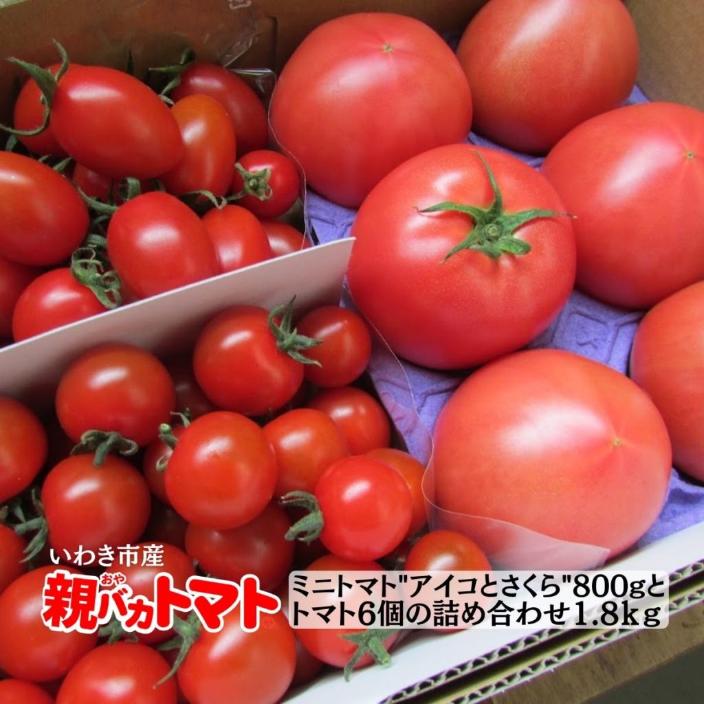 トマト・ミニトマト詰め合わせ | 親バカトマト 助川農園 いわき市産 