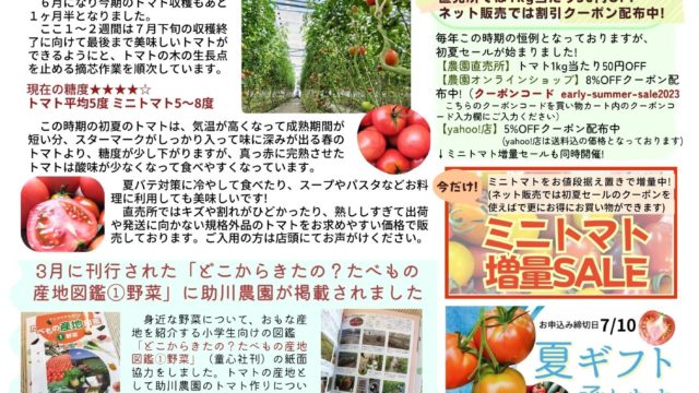 親バカトマト 助川農園 いわき市産トマト、ミニトマト通販・直売 こだわりの土作りによる特別栽培トマト「親バカトマト」の助川農園です