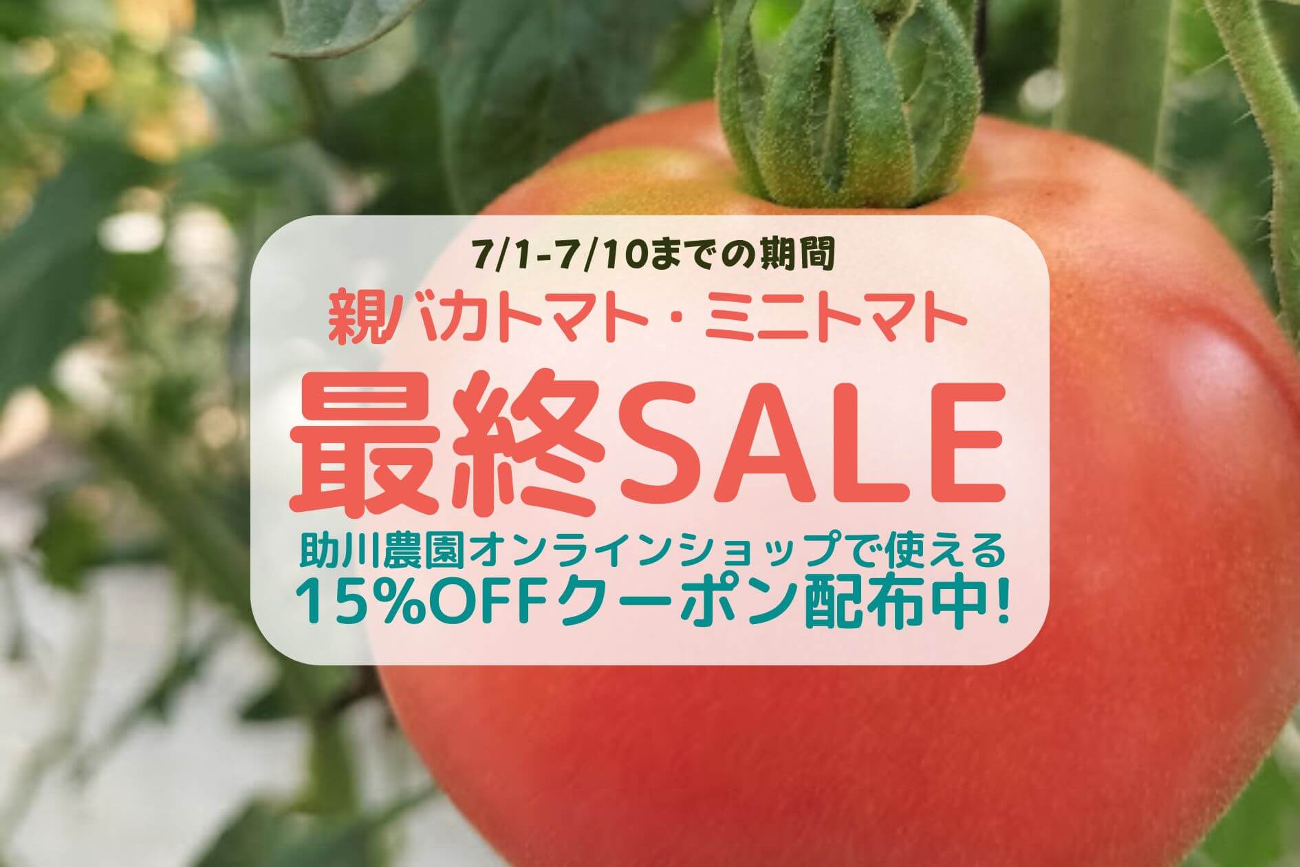 端渓セール1日 トラウト応援セール | フィッシングマックス 関西の釣果|大阪・神戸