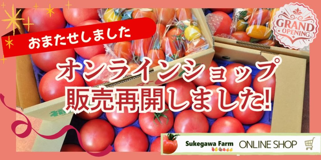 ワコーズまとめ売り2。トマトさん専用。 ワコーズまとめ売り1 。トマトさん専用。 ワコーズまとめ売り1