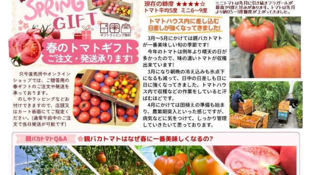 親バカトマト通信vol.157(2026年3月号)を発行しました