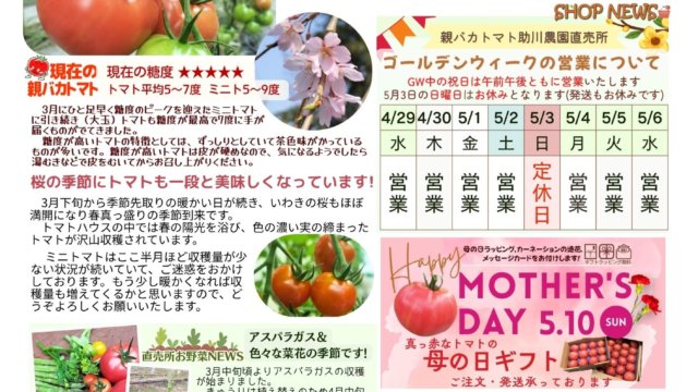 親バカトマト通信vol.158(2026年4月号)を発行しました