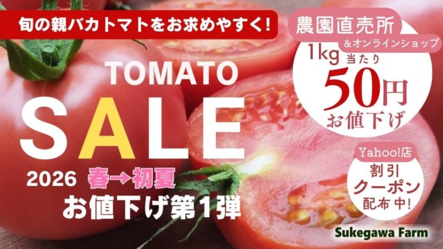 4月1日よりオンラインショップと直売所で親バカトマトの値下げSALEが始まりました!